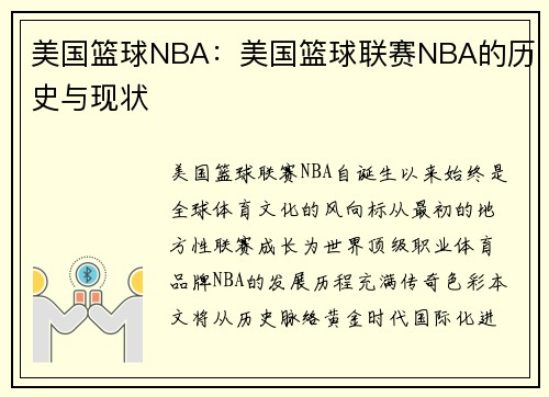 美国篮球NBA：美国篮球联赛NBA的历史与现状